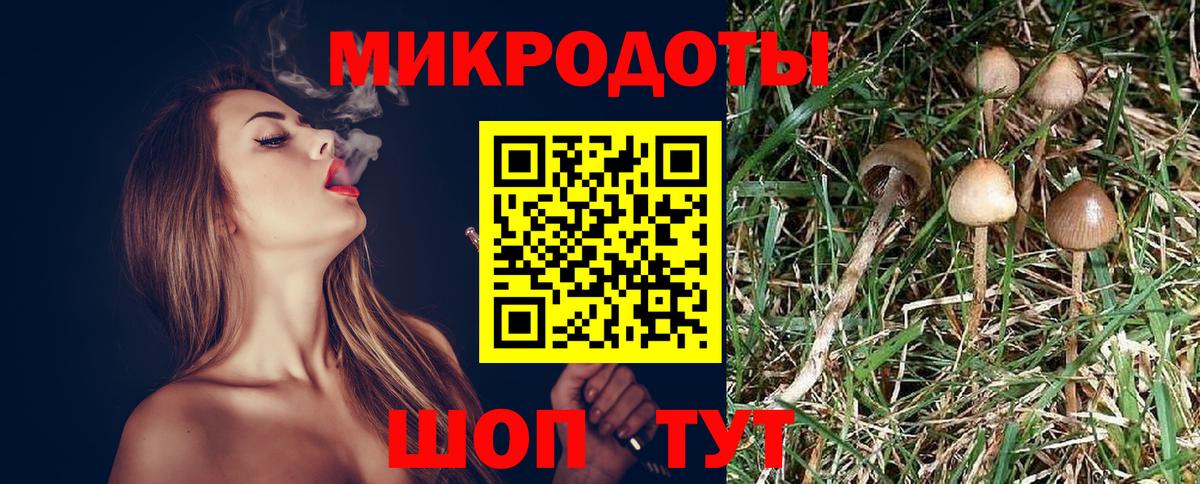 Псилоцибиновые грибы MAGIC MUSHROOMS  Галлюциногенные грибы Cubensis  Вход с VPN  Рославль 